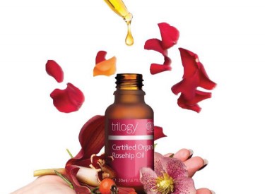 Cùng tìm hiểu về 2 loại tinh dầu tầm xuân của Úc tại Austores